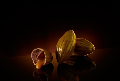 比利時貝可拉產地精選- 萬那杜牛奶巧克力